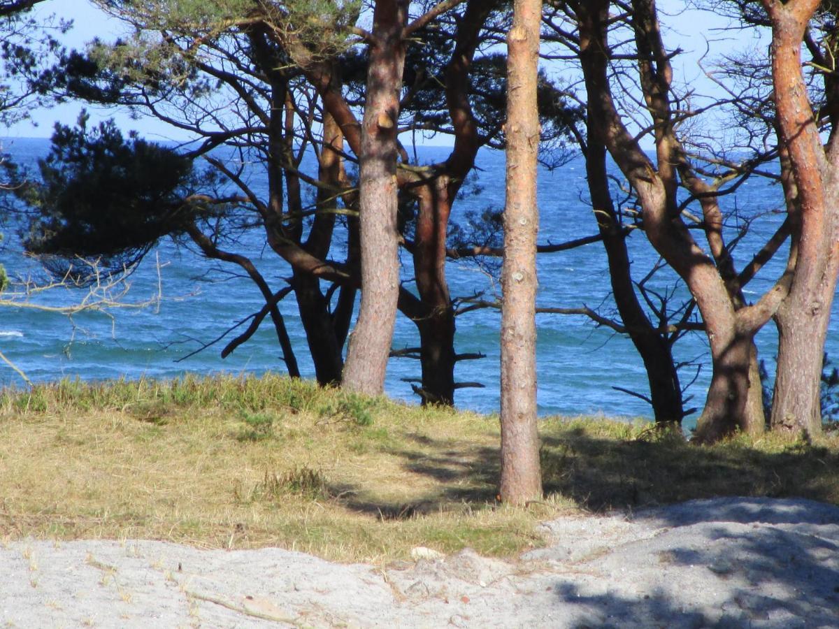 Strandapartment Kapitaen Prora 宾茨 外观 照片